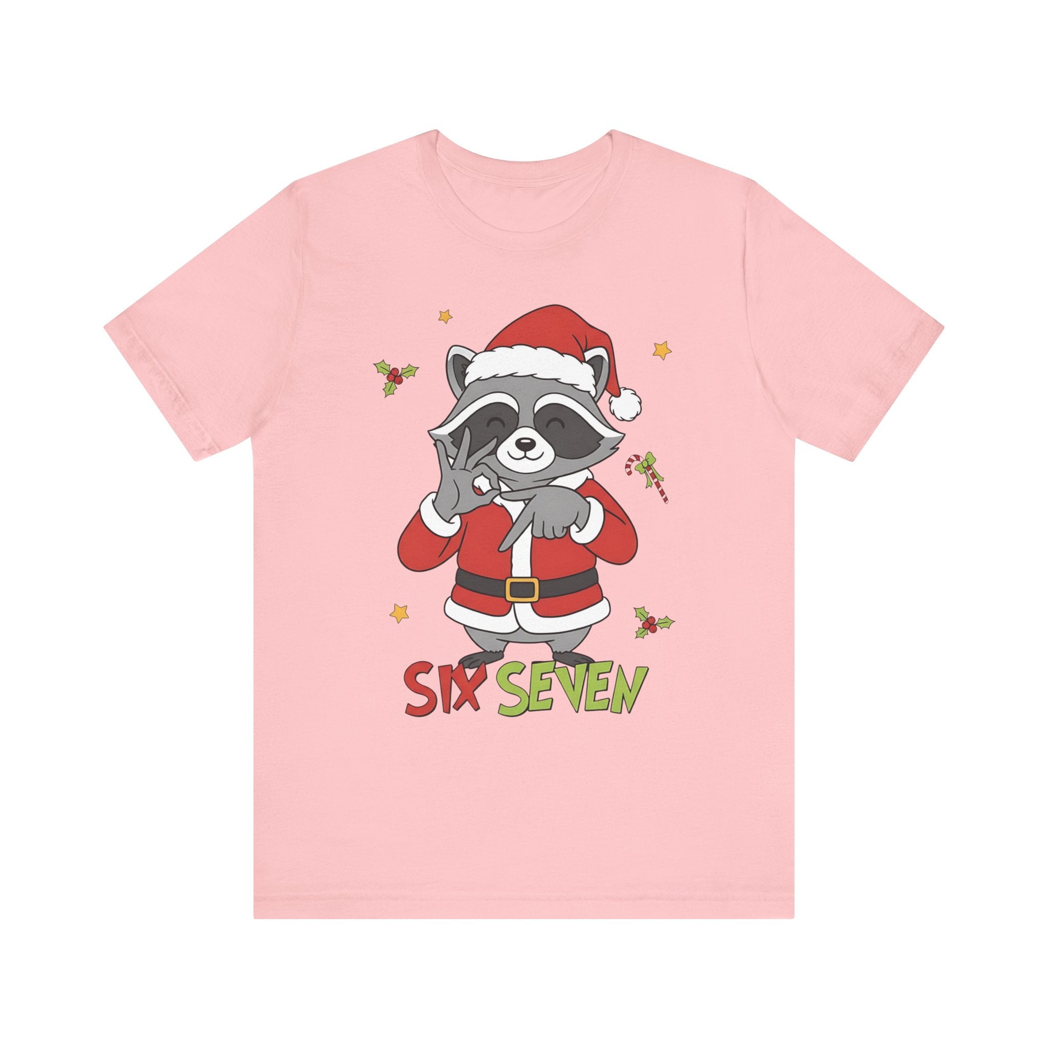"Six Seven" Santa Racoon