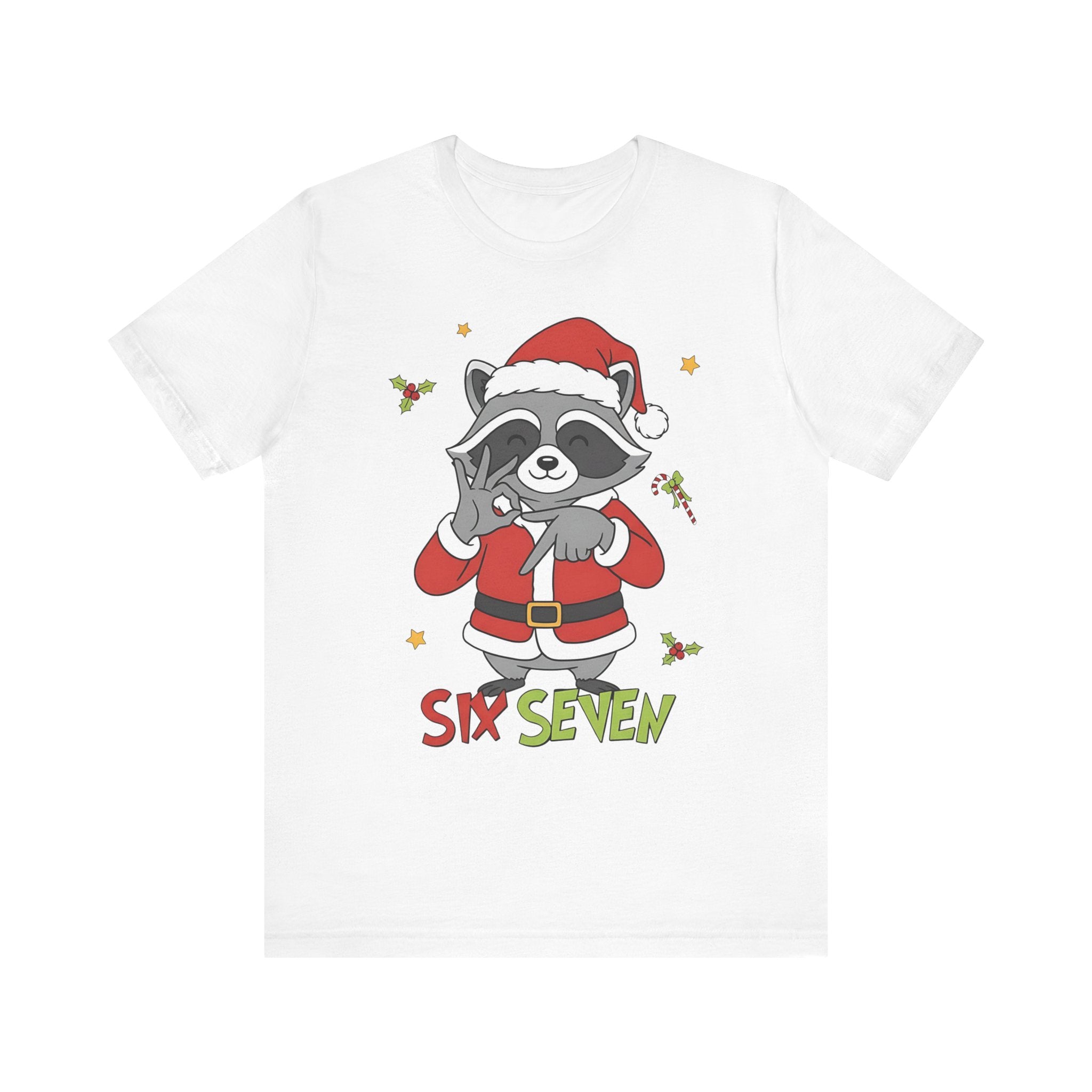 "Six Seven" Santa Racoon