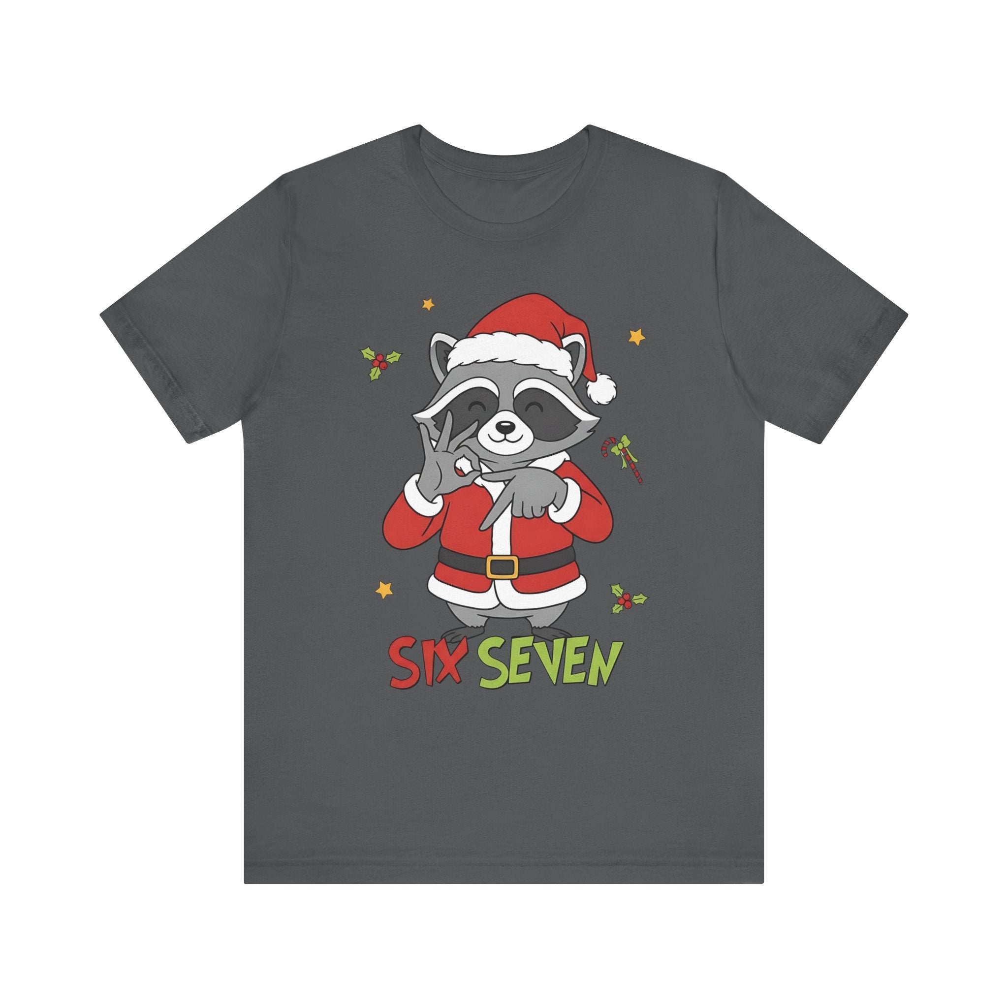 "Six Seven" Santa Racoon