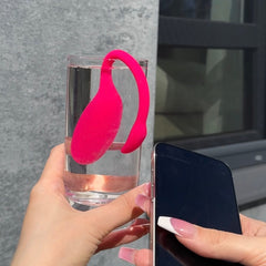 Flamingo (App control)